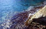 78-Castro,grotta Romanelli,26 agosto 1988